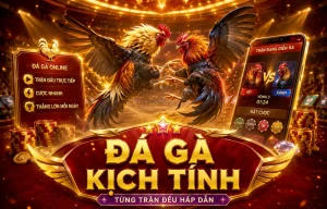 Giao diện sảnh Đá Gà DAGA